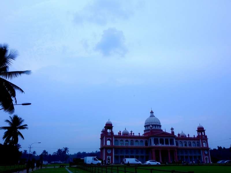 Orthopedics Treatment